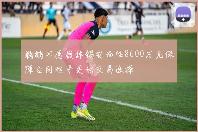 鹈鹕不愿裁掉锡安面临8600万无保障合同难寻更优交易选择
