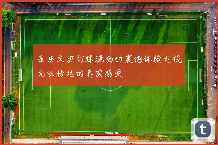 亲历文班打球现场的震撼体验电视无法传达的真实感受