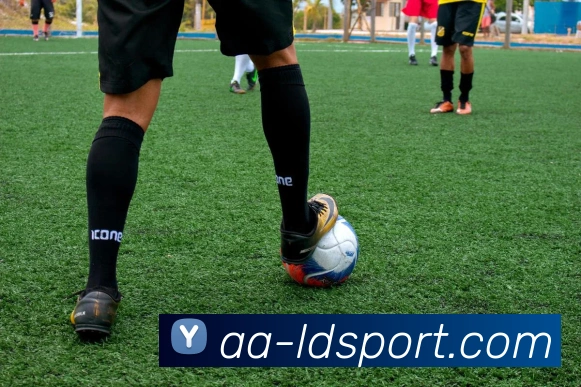 App Interface Preview