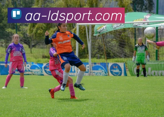 乐动足球APP 封面图